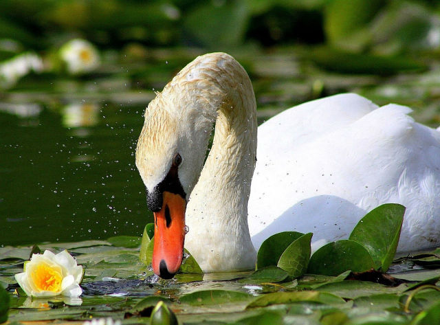 ЗОВИ - МЕНЯ...