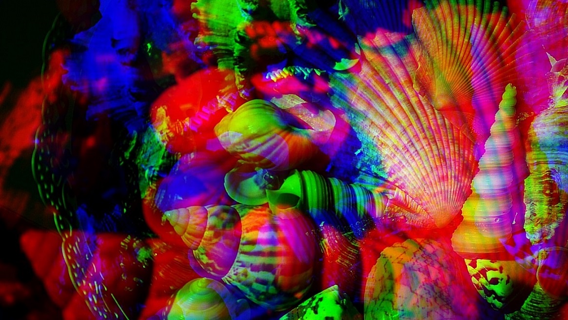 В чем разница между гением и творческой личностью?