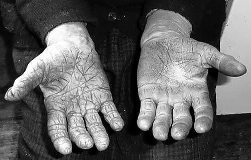 Труд облагородил человека!