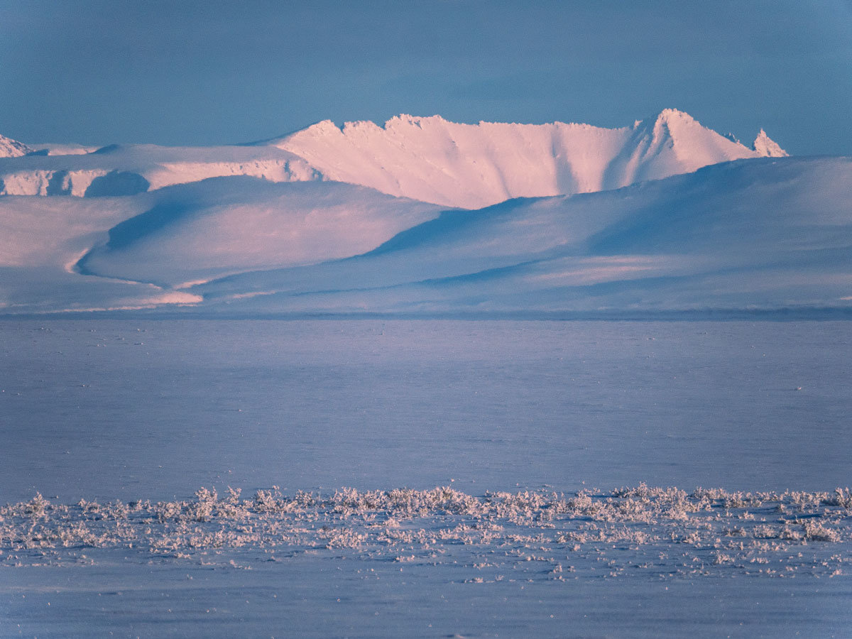 Ледяная тундра. Зона арктических пустынь Северной Америки. Арктический: тундра, Арктическая пустыня.. Зон - тундра и Арктическая пустыня. Арктика зона арктических пустынь.