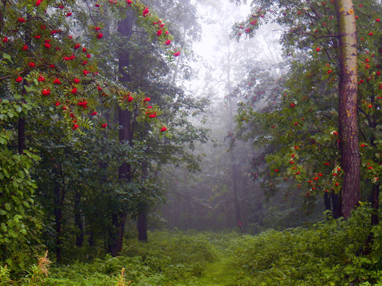 Уже всё случилось... (Анна Опарина) / Стихи.ру