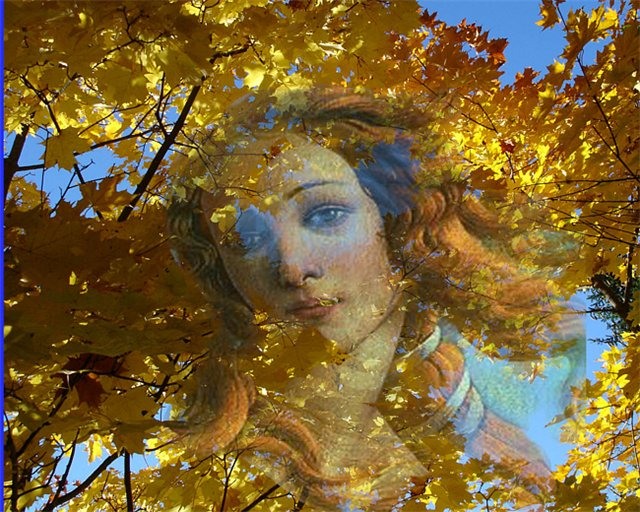 Разноцветье красок