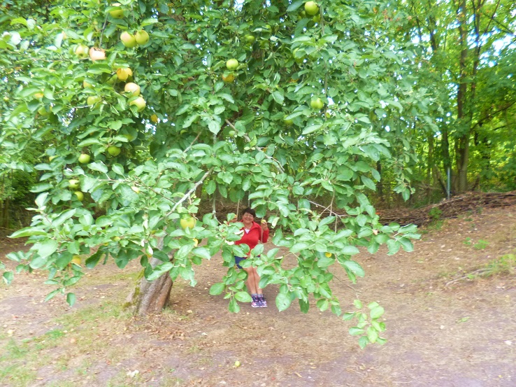 Nichts ist so wie es scheint