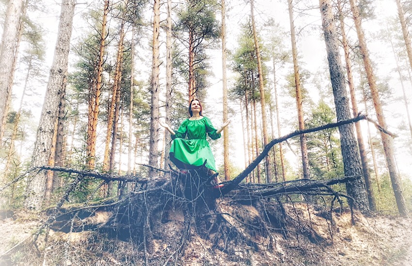 После лунной песни