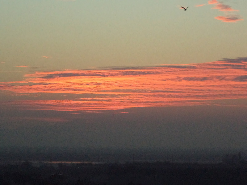 Когда помощь бывает бесполезной. Притча