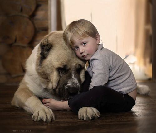 ЕСЛИ ЧТО - ТАК, ЭТО - МЫ!