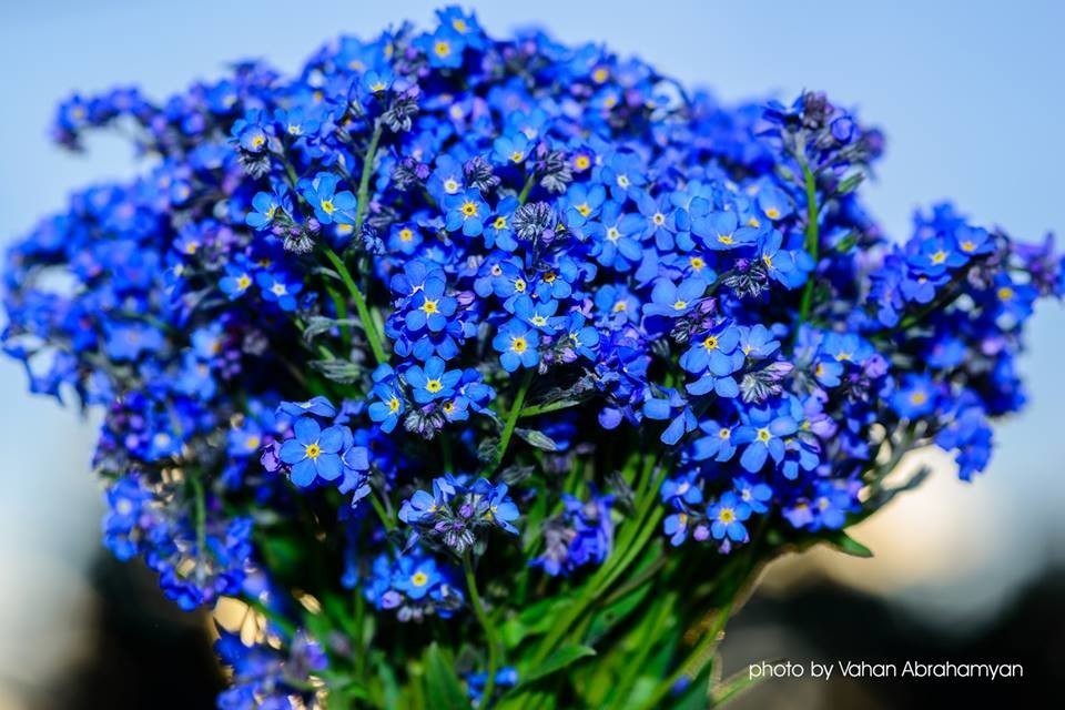 Кто б взял - хоть крошечную боль?