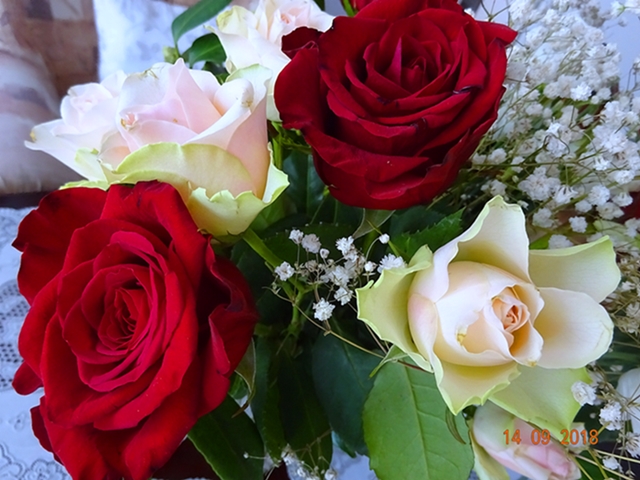 Что, где, когда - известно богу!