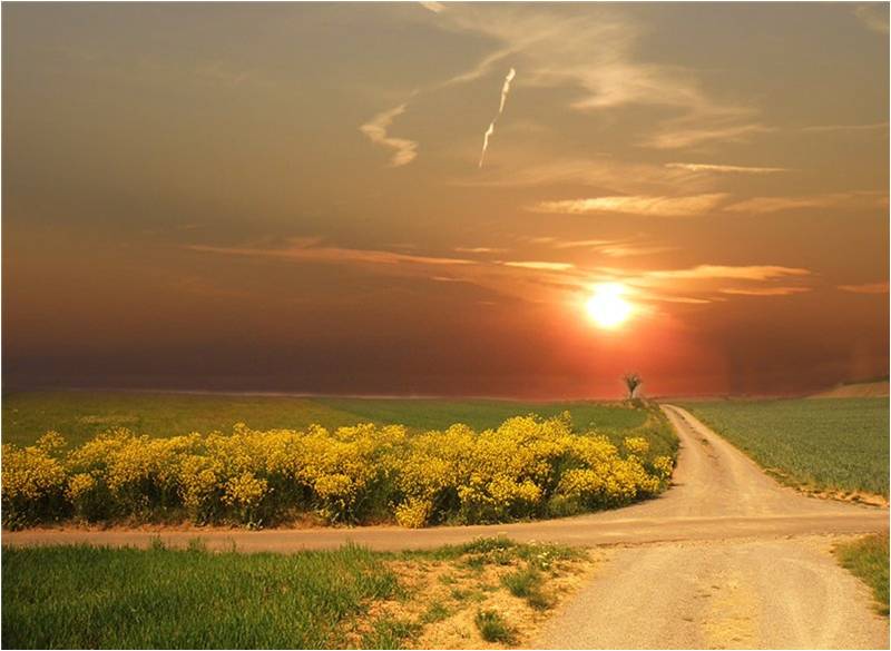 Жизнь -одна, хоть путь тернист...