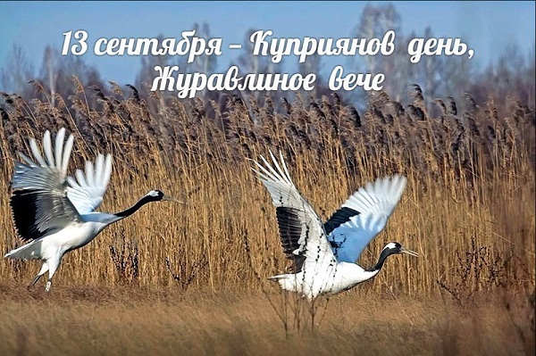 Журавлиное вече