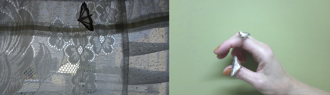 Бархатный рай