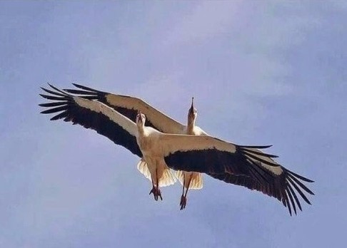 Хочу вернуться