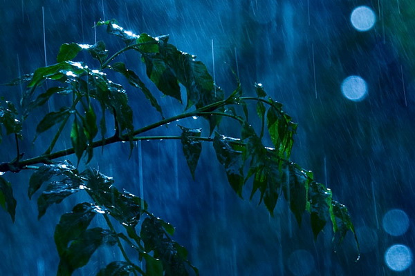 В гостях у Морфея