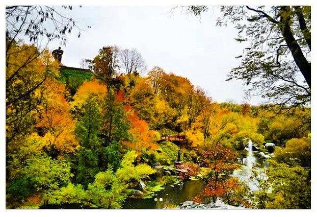 Золотая песнь осени