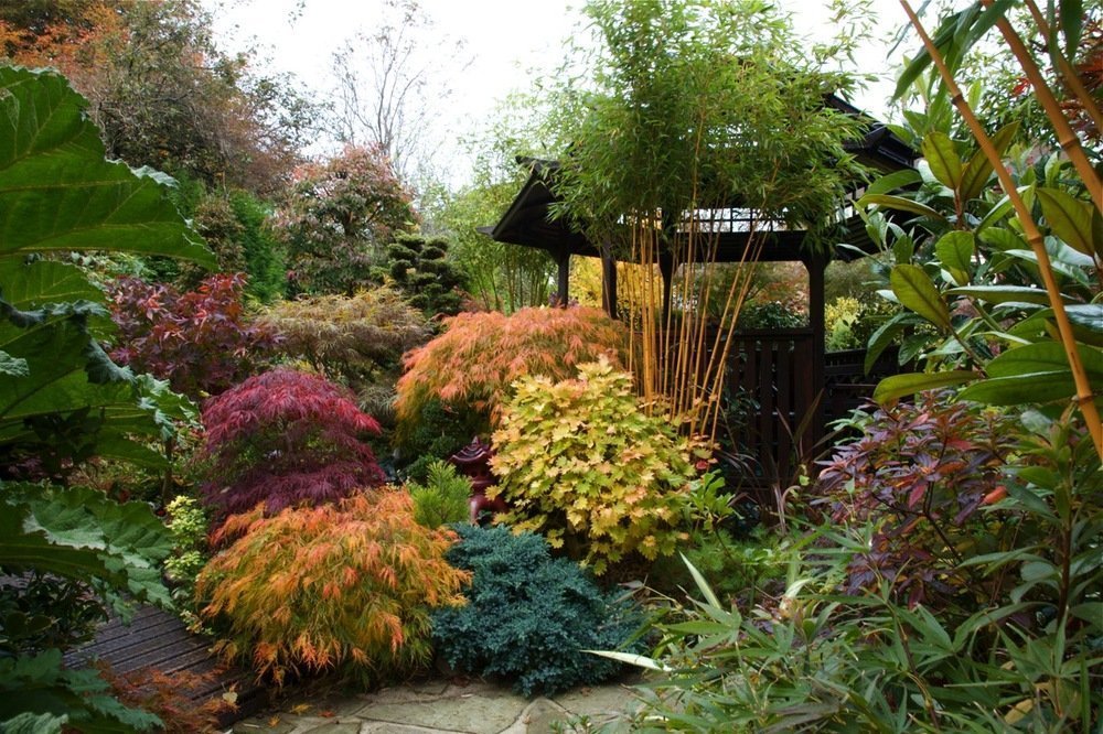 Скучно на даче, тепла поубавилось