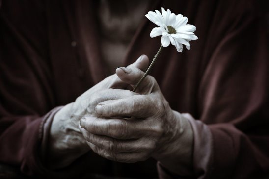 Вы-добрые, я-злая