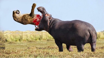 Как часто ценим мы характер