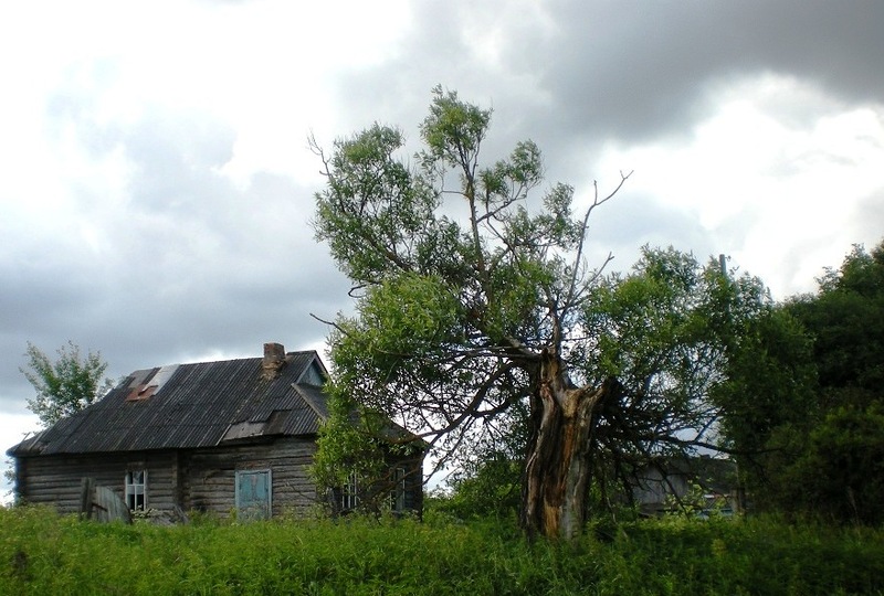 Встреча земляков