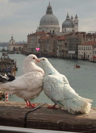 Пусть, наконец...