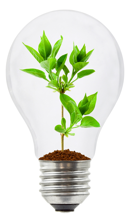 Когда б вы знали, из какого места...