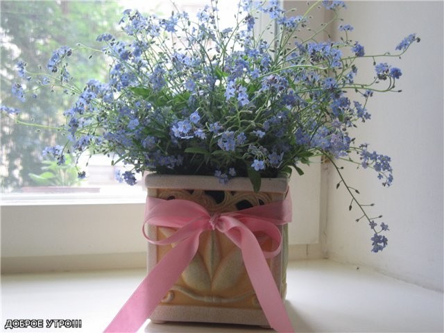 Лучше - остаться несчастливoй!