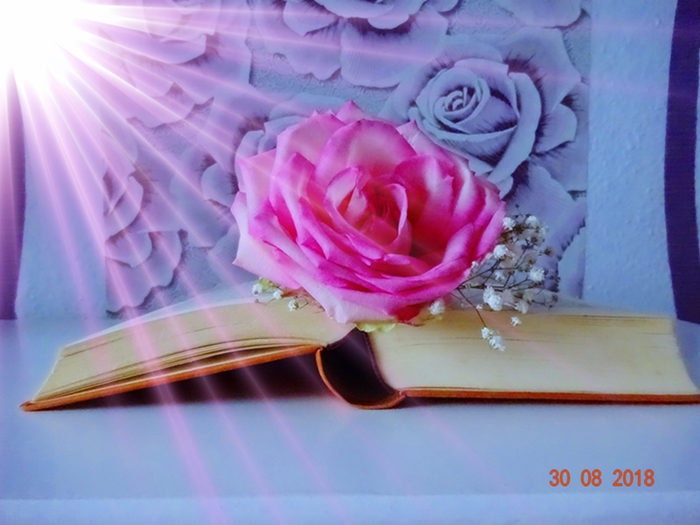 Чтоб не сдохнуть, прямо -тут!