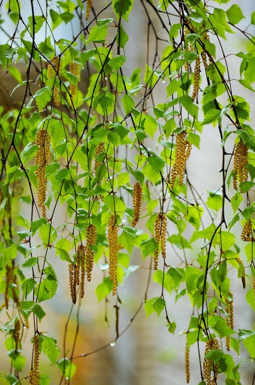 Признание в любви