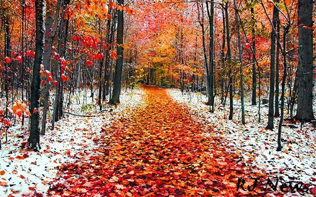 Так осень поздняя тоскует (Елена Задремайлова) / Стихи.ру