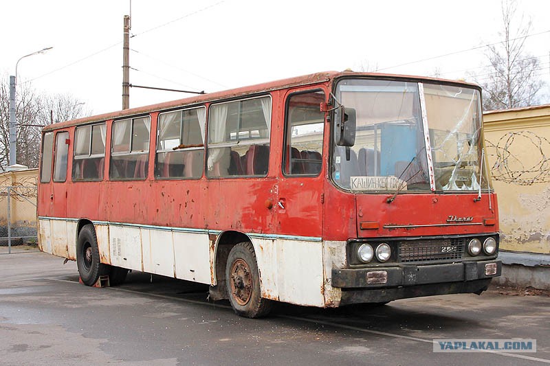 Старенький Икарус