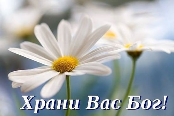 Одеты, обуты, а нищи!