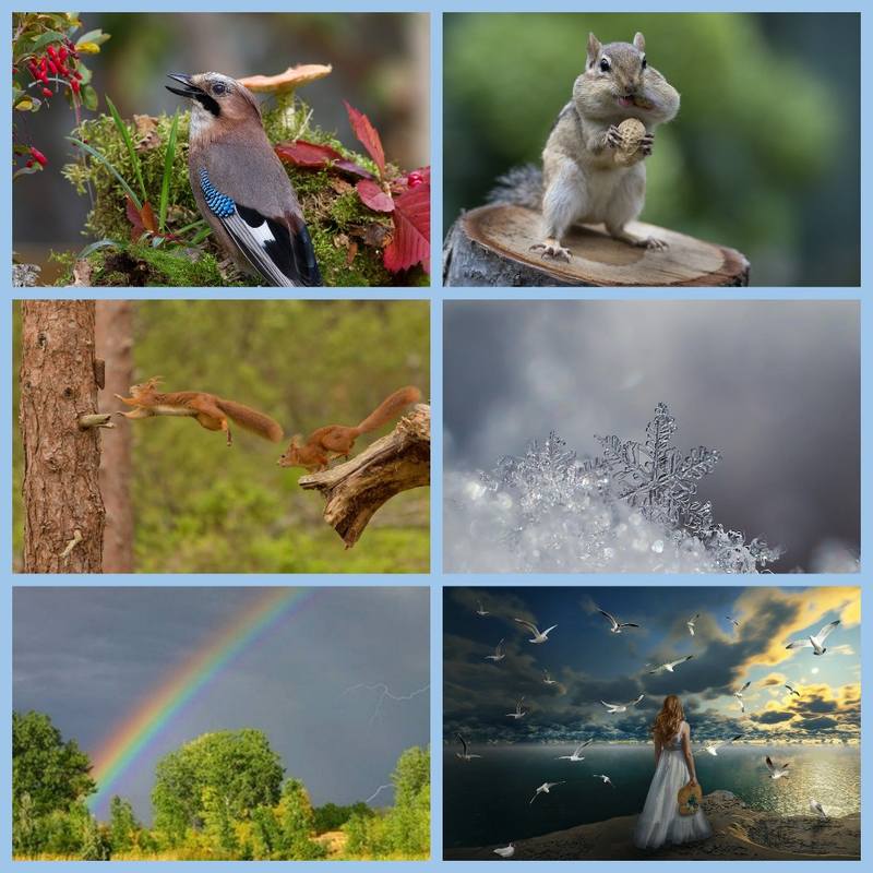 Крещендо осени