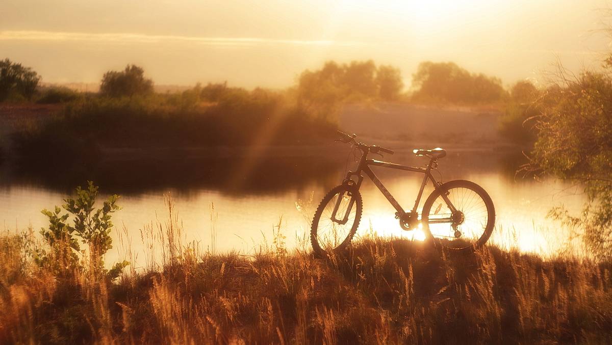 Велик в поле. Велосипед на природе. Лето велосипед. Велосипед на закате. Велосипед в поле.