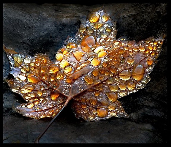 стала старше на целую осень...