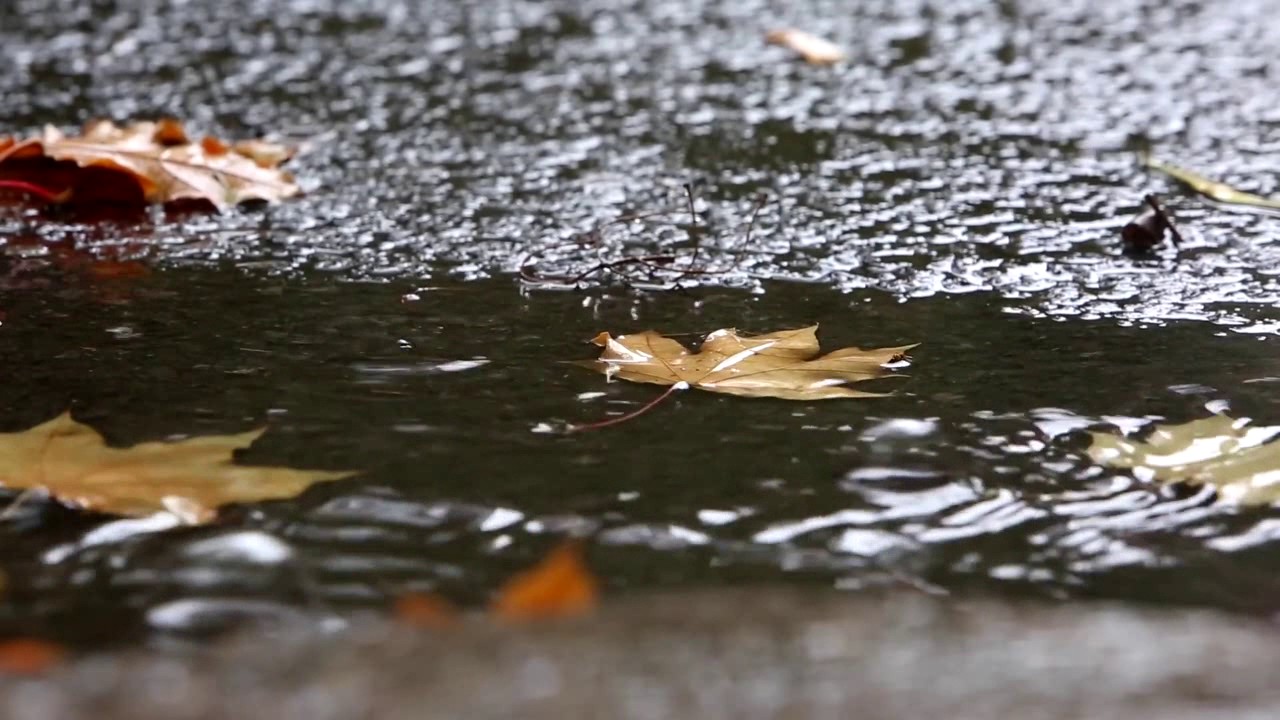 Мокрые улицы. 25. 09. 2018