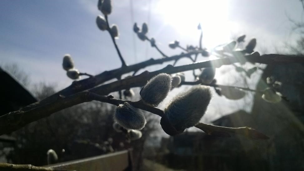 Великая суббота