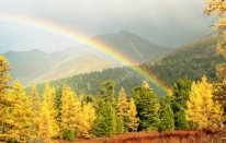 Редкое Диво...