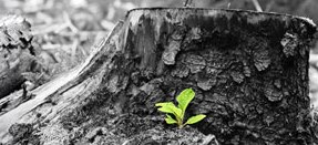 Жизни многоточие