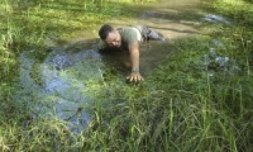 Болото и Море