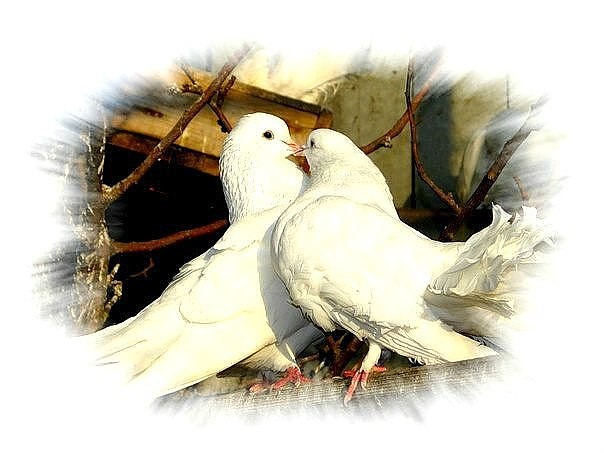 Где - то, где - то - за краем...