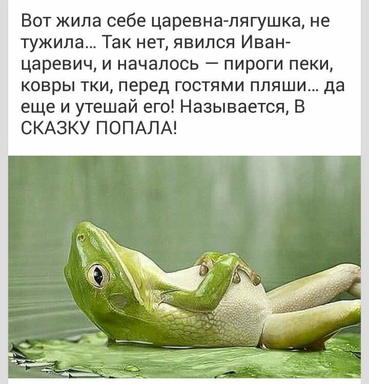 Кто женился на лягушке