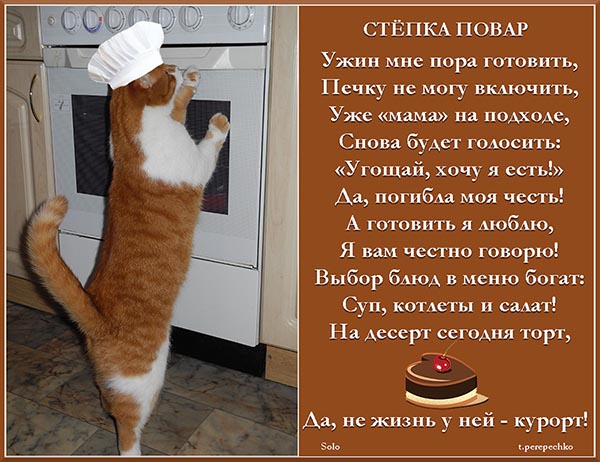 Стёпка повар