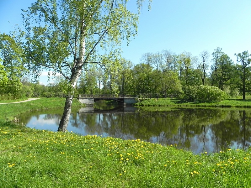 Тропой Есенина шагаю