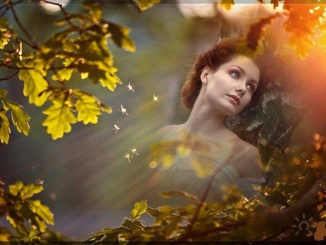 35 Прекрасных дней воспоминанья