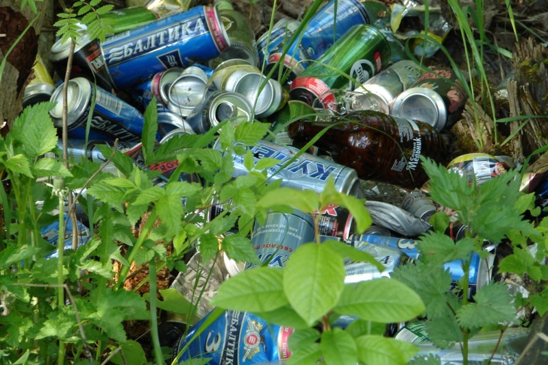 Сколько мусора в лесу?