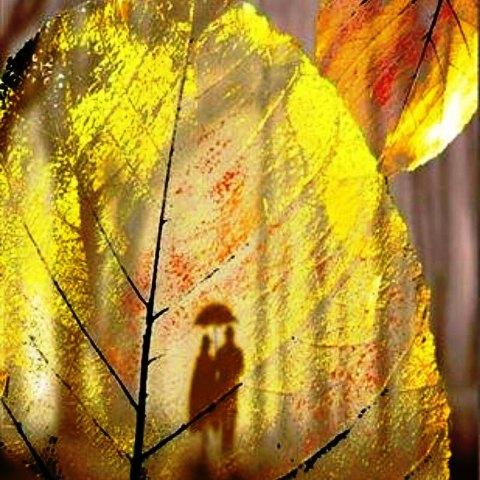 Белый танец