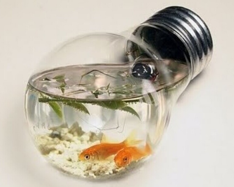 Когда захочется ухи...