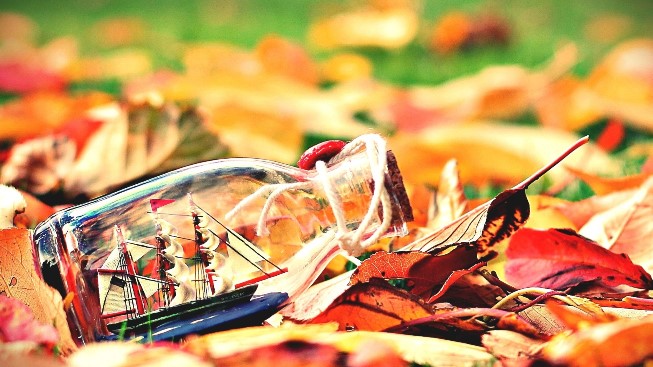 Хрупкие цветы