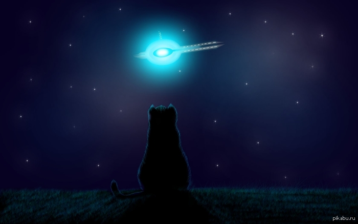 Давай помечтаем...