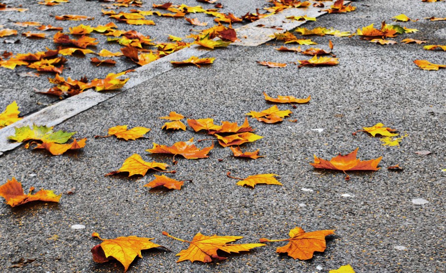 Затихли звуки строевого шага