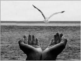 Прощальный крик. 01. 10. 2018